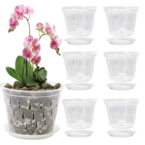 XPJBKC 6 Pack Orchid Pots Clear, 15 cm/6 in Orchid Pot with Holes and Tray, Orchid Plant Pot Plastic, Seedling Pots Clear Nursery Pots for Root Growing Orchid Repotting Kit