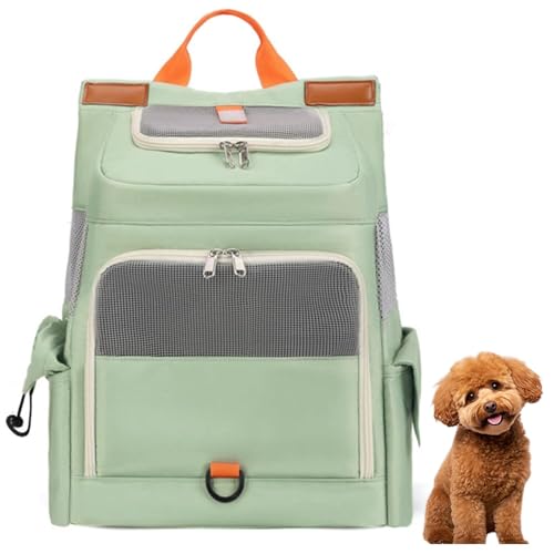 Lifetips^Cj[v[hiTiny PoodlejybgbN L[ ʋCbV J[et y ˃e[v яoh~ h  @\ bN^ybgL[ ^ ^ L s ʉ@ ] d [|Pbgt 