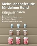 Prä & Probiotika Hund [MADE IN GERMANY, ZUCKERFREI & LABORGEPRÜFT] Darmkur mit 670 Mrd. KBE & Präbiotika – stärkt Darmflora & Verdauung – ideal nach Wurmkur, Grasfressen & Sodbrennen (180g (1er Pack))