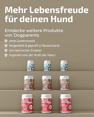 Prä & Probiotika Hund [MADE IN GERMANY, ZUCKERFREI & LABORGEPRÜFT] Darmkur mit 670 Mrd. KBE & Präbiotika – stärkt Darmflora & Verdauung – ideal nach Wurmkur, Grasfressen & Sodbrennen (180g (1er Pack))