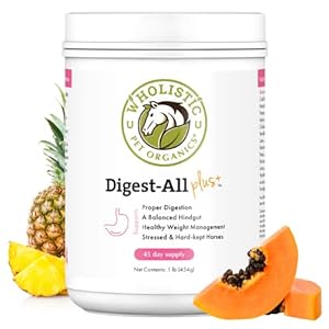 Wholistic Pet Organics Digest-All Plus: Horse Probiotics Powder – Equine Probiotics and Prebiotics with Digestive Enzymes – Equine Digestive Supplements for Gas, Constipation and Gut Health – 1 Lb