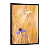 artboxONE: Der Shop für angesagte Wandbilder und moderne Designs von internationalen Künstlern für dein Zuhause | Mehr als 22.000 Motive zu verschiedenen Themen: Typografie, Fotografie, Illustrationen & mehr!