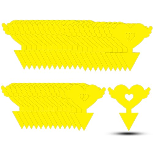 36PCS Fruit Fly Sticky Traps for Plants, Kitchen Indoor Outdoor, Love Shape - image 1