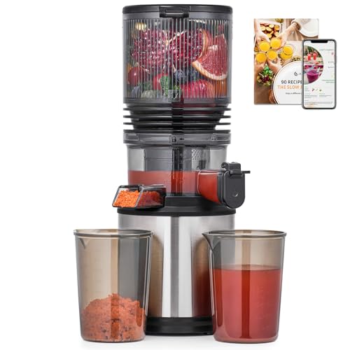 AMZCHEF Cold Press Juicer Machines, Slow Masticating Juicer with Low Noise DC Motor & Triple Filter, 160mm Wide Chute & 2L Capacity for Whole Fruits and Vegetables, Easy to Clean, Stainless Steel