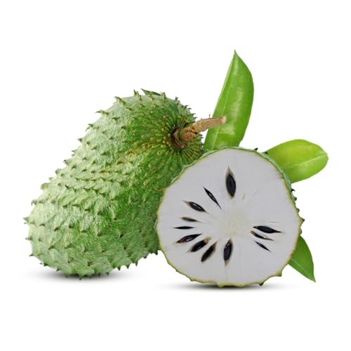 Fresh Soursop from Sri Lanka 1kg