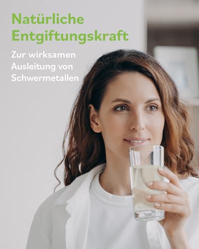 Zeolith MED Detox-Pulver, Medizinprodukt, Apothekenqualität, Vergleichssieger, Entgiftung von Schwermetallen, Entgiftungskur, Vulkanmineralien, Heilerde, Darmreinigung (200 g (1er Pack))