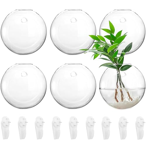 Yarlung 6 Pack Wall Hanging Planters Terrarium, 4.7 Inch Glass Oblate Globe Plants Containers, Wall Mount Clear Flower Vase for Propagating Hydroponics Plants, Air Plants (Plants Not Included)