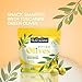 Tuscanini Italian Garlic Flavor Snack Olives, 1 oz (10 Pack) Pitted Olive Pouches for Snacking | No Oil | Gluten Free, Vegan | For Travel, Picnics and Office Snacks | Kosher