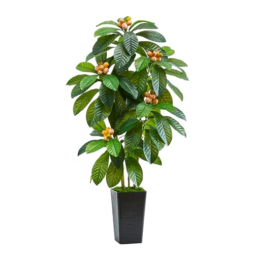 Artificial Loquat Tree Japanese Medlar Tropical Fruiting Plant Tall Artificial Plants Indoor-Loquat Tree Large Fruiting Silk Tree for Home Office Living Room Decor Indoor (Black Tall, 5FT)