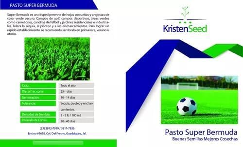 La Mejor Selección de Semillas de pasto comprados en linea. 28 Imagen adicional