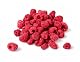 Naturkost Schultz Gefriergetrocknete Himbeeren