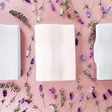 Travesseiro Cervical Nasa - I wanna sleep - Suporte Ideal, Alinhamento de Pescoço e Coluna. Alívio de Dores, Combate a Insônia e o Ronco. glide