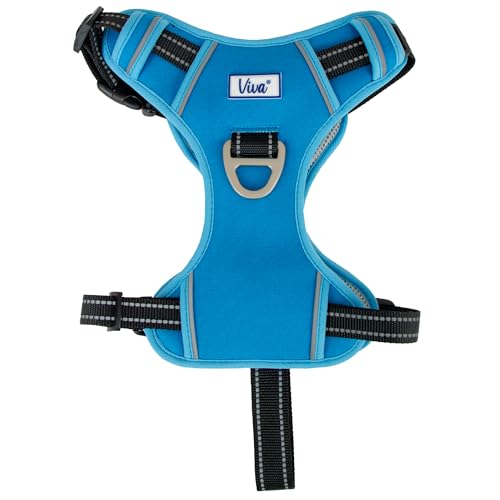Ancol Viva Exercise and Travel Dog Harness in Blue - Comfortable Pet Accessory with Padded Chest and 2 Leash Clips - Large 60-85cm - Image 3