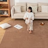 Sun Deco カーペットラグ 洗えるラグマット 絨毯 185×185cm(約2畳) 抗菌 防臭 防ダニ 滑り止め付き オールシーズン 床暖房 ホットカーペット対応 丸洗い フランネル 無地・モカ I001-185185MO