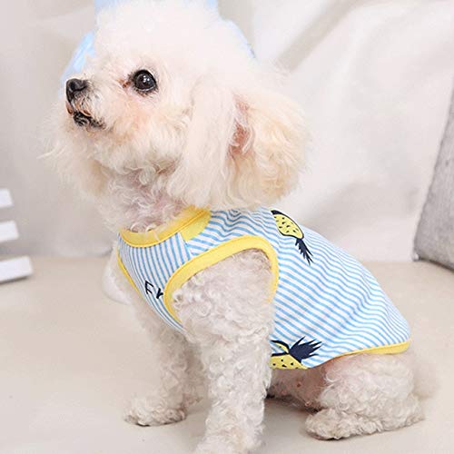 DealG Funny Dog Costume Girl Boy Couple - Dog Bikini - Dog Swimsuits for Small Dogs - Dog Swimsuits - Dog Swim Suit - Blank Dog Shirts - Dog Bathing Suit