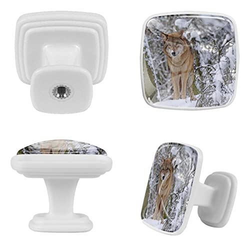 Boutons de tiroir loup des neiges pour relooker un meuble de placard - 3