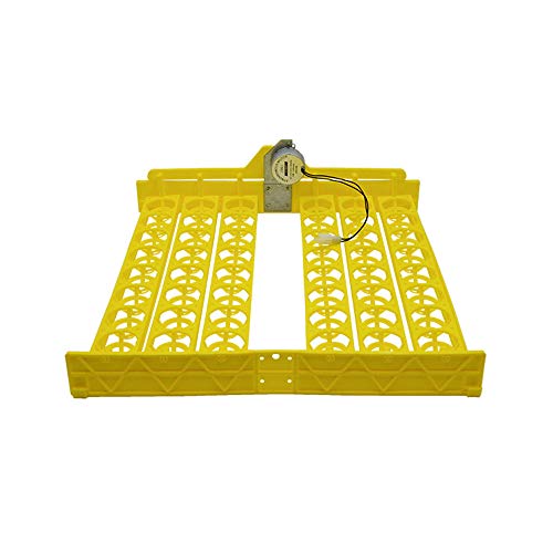 HXHON Egg Tray Egg Incubators Plastic Egg Hatching Accessories Farm Equipment (B)