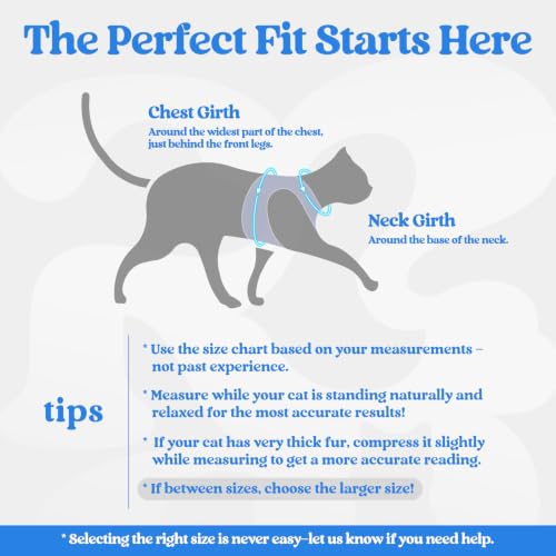 Image of rabbitgoo Cat Harness and Leash Set, Step-in Soft Vest, Blue & Light Blue