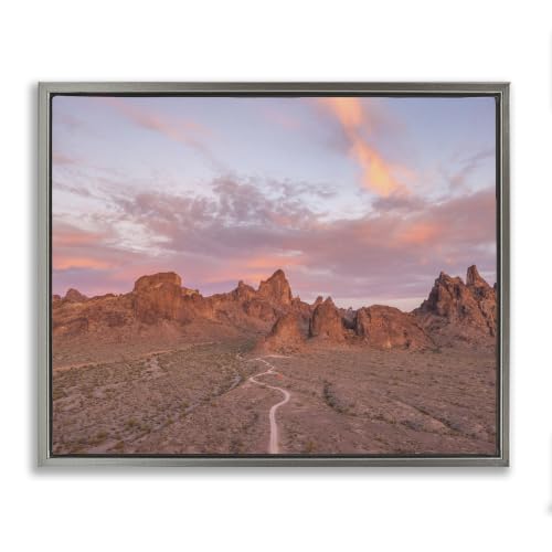 'Vast Canyon Road Desert Scene'| Floating Frame Canvas Art