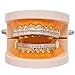 Braces Micro-Inlaid Zirconium 8 Teeth Decorative Gold Plated Diamond Braces, Silver (Lower Teeth)