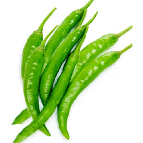 OL Seeds - Green Chilli Seeds/ Hari Mirch - Desi Seeds (Pack of 50 Seeds) (B0B674J2JR) Amazon Price History, Amazon Price Tracker