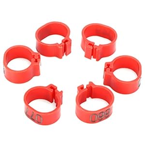 Vogelklemring, identificatiering voor duiven 001-100 Genummerd Herbruikbaar Gebruiksvriendelijk Duivenpootring Kunststof…