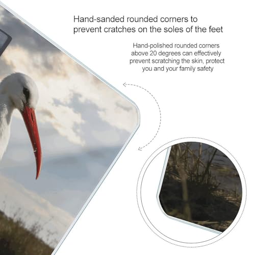 Báscula Stork para peso corporal con vidrio templado miniatura 4