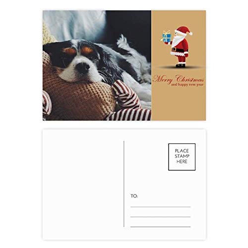 Cartes postales pour chien Lazy Dog en lot de 20 format standard