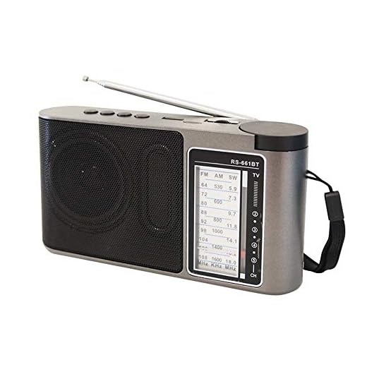 JHKJ Altavoz Portatil Bluetooth Vintage, Altavoz Inalámbrico Retro con de Reproducción, Bluetooth Portátil FM/Am/sw USB,Gris