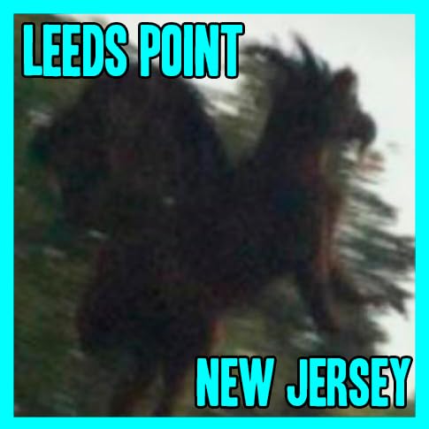 The Jersey Devil Podcast Por  arte de portada