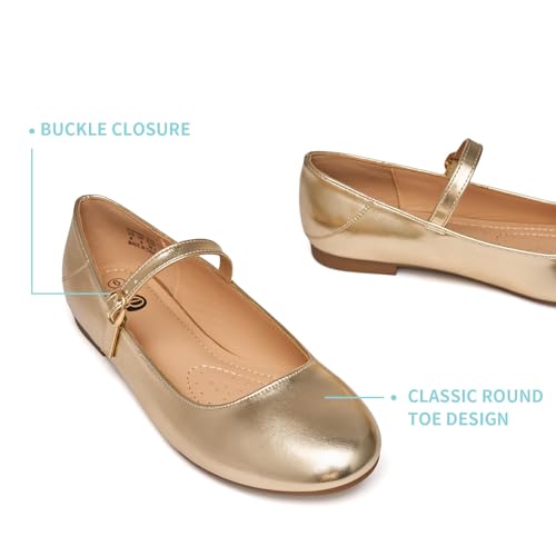 Image of Rekayla Flats for Women Mary Jane Shoes Women Round Toe Ballet Flats with Buckle Strap Comfortable Dress Shoes for Work Casual Daily Wear