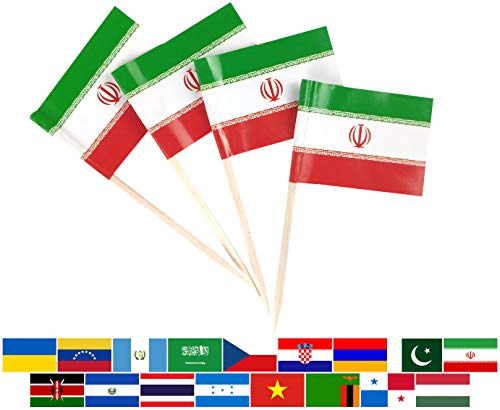 JBCD Iran Toothpick Flag Iranian Mini Small Cupcake Topper Flags, 100pcs