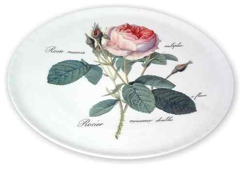 Redoute Rose English Bone China Cake Plate
