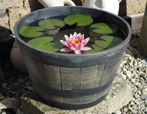 GartenGees Pflanzgefäß,Pflanzwanne,Miniteich,Kunststoff,in Holzoptik,in 3 Größen 30-50 cm (50 cm)