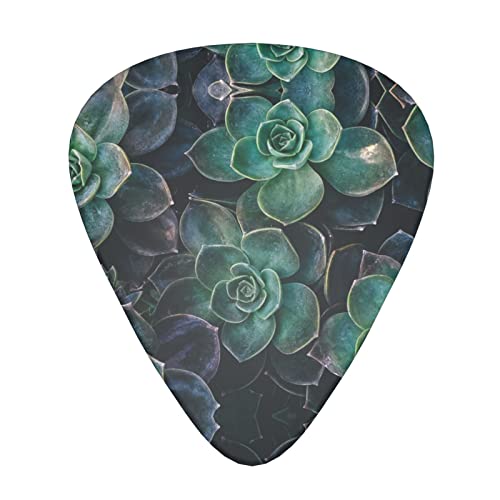 Ensemble de 12 médiators de guitare de plantes succulentes pour guitare acoustique, guitare électrique, contrebasse… - Les Beatles, Paul McCartney, John Lennon, RIngo Starr, George Harrison Ensemble de 12 médiators de guitare de plantes succulentes pour guitare acoustique, guitare électrique, contrebasse…