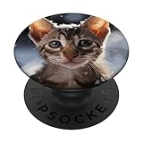 Avec une image d'un mignon oriental Shorthair s'amusant dans la neige, ce design est parfait à porter pour un anniversaire, Noël ou les fêtes de famille. Également une excellente idée pour la fête des mères ou la fête des pères.