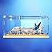 Produktbild Acryl-Vitrine für Lego 60367 Passagierflugzeugmodell, staubdichte Display-Box, kompatibel mit Lego 60367 (nur Displaybox, kein Modell) (A)