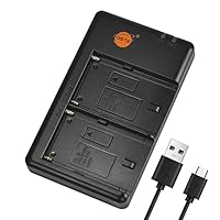 DSTE NP-F Batterie USB Dual Quick Ladegerät Compatible für NP-F330 NP-F550 NP-F570 NP-F750 NP-F770 NP-F930 NP-F950 NP-F960 NP-F970 NP-FM50 NP-FM55H NP-FM500H NP-QM71D NP-FM70 NP-QM91D VW-VBD1 Batterie