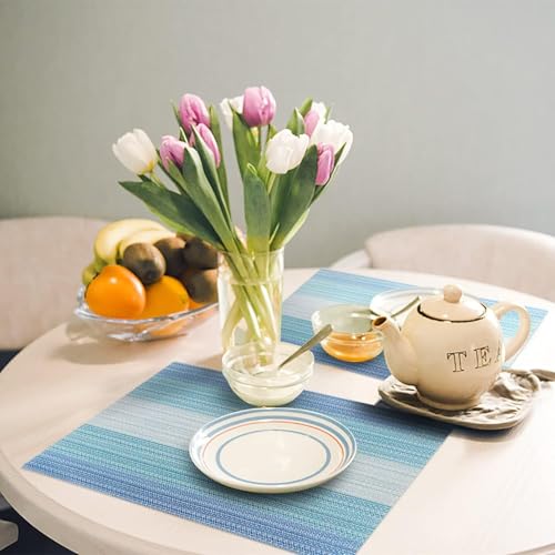 Image of GDNK Washable PVC Heat Resistant Colorful Place Mats for Kitchen Dining Table Mates Washable Heat-Resistant for Dining Table (4 Pack) (Blue)
