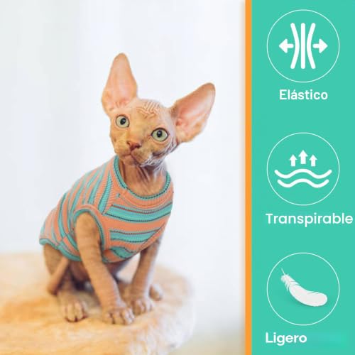 Miniatura 2 de Ouobob Ropa Transpirable Para Gatos Sphynx, Cornish Rex Y Devon Rex: Camisas A Rayas, Suéteres, Ropa De Verano