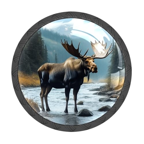 MSINMKOK omu 4pbN [X NX^KX Ehmu vnh Lrlbg hbT[ Lb` oX[ - HI [h[u n[hEFA Ƌmu