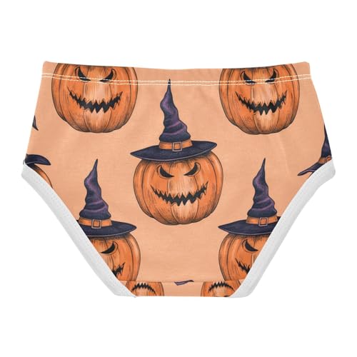 Halloween Pumpkins Witch Hats Toddler Girls's Underwear 2T 202c11452
