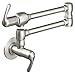 LadyLux 2-Handle Wall Mount Pot Filler