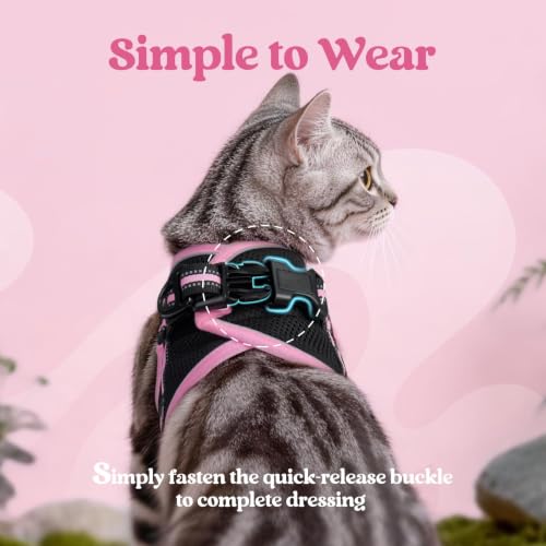 Image of rabbitgoo Cat Harness and Leash Set, Step-in Soft Vest, S, Black & Pink | Escape Proof, Lightweight Air Mesh, Easy-on, Adjustable, Hook & Loop with Buckle, Reflective, for Kittens & Tiny Cats Walks