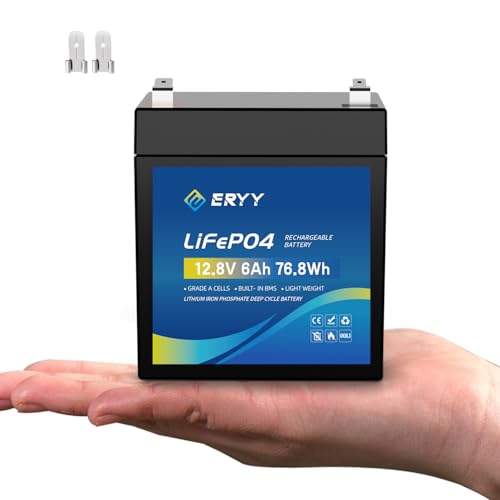 ERYY 12V 6Ah LiFePO4 Battery with BMS for Camping & Solar