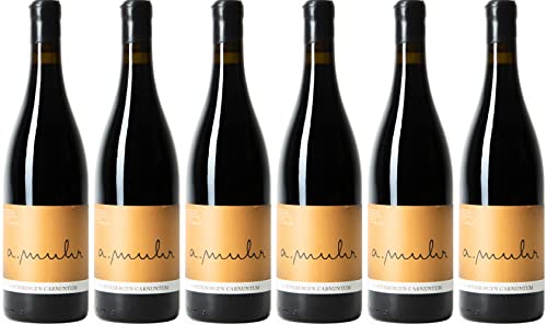 Andreas Muhr Chardonnay Ried Gaisberg 2023 Trocken (6 x 0.75 l)