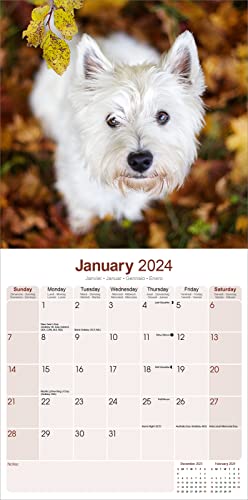 West Highland Terrier Calendar 2024 Square Dog Breed Wall Calendar - 16 Month - Image 3
