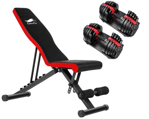 ���i �g���[�j���O�x���`�{�ώ� �_���x�� 24kg �A�W���X�^�u���_���x�� 2�Z�b�g 2.5�`24kg 15�i�K���� 5�b�ŏd�ʒ��� �N�C�b�N�_���x�� �؃g�� Z01 (�g�t�F, �X�^�C��-A)