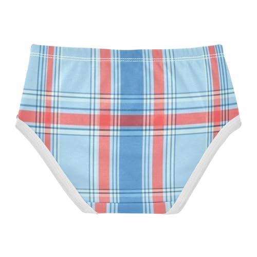 Girls' Training Panties Organic Underpants for Toddler Girls Light Blue Plaid2