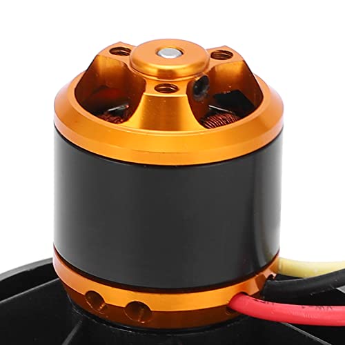 Dilwe 12-Blades-Lüfter für RC-Flugzeug, 5000 KV-freier Motor, Aluminiumlegierungsbau, Schwarz, Geeignet für Enthusiasten Geeignet (CW)